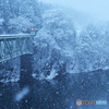 ふるふる雪