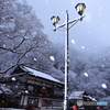 燈