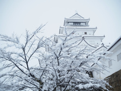 城と華