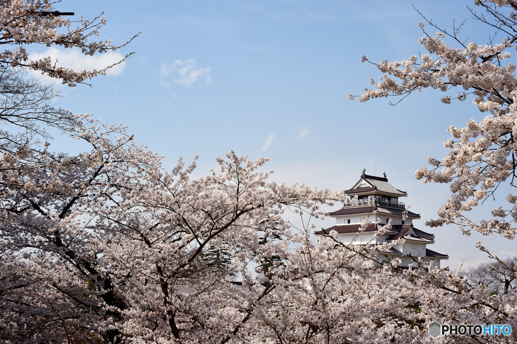 城の春