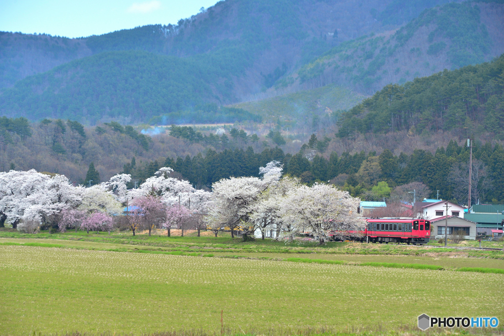 桜の駅