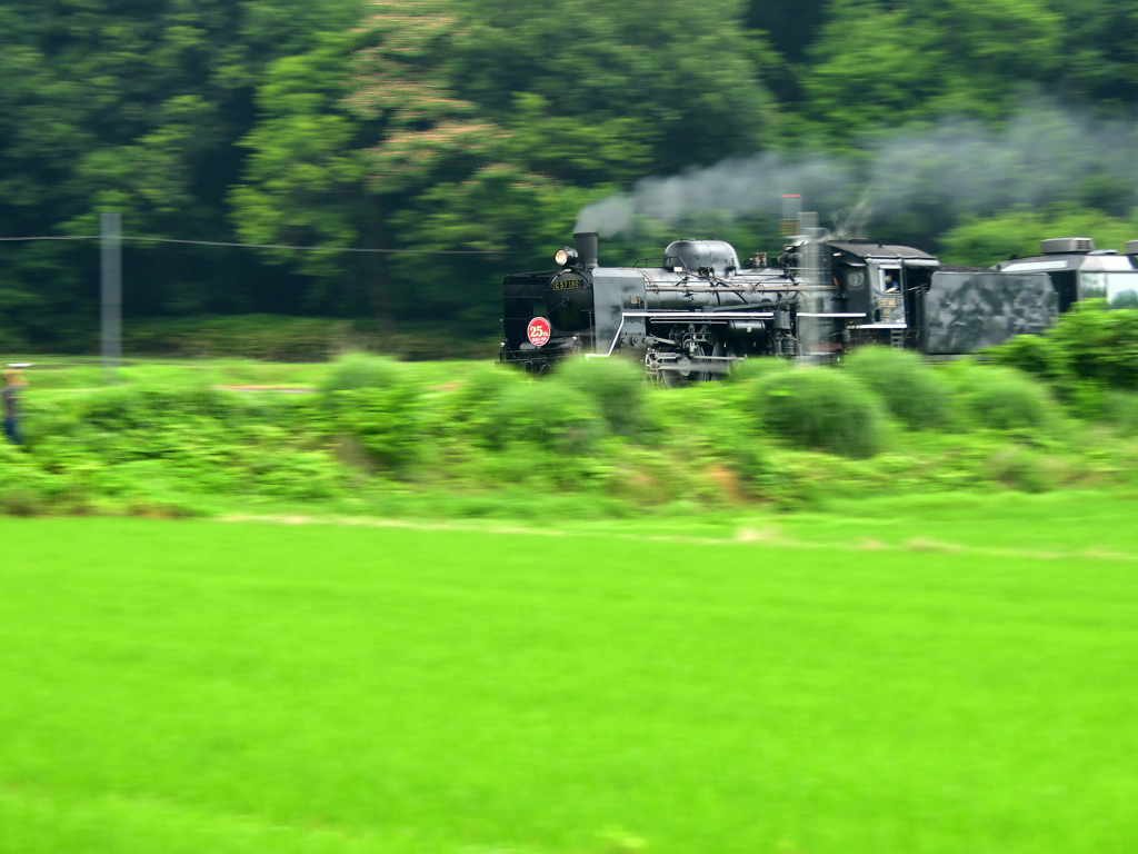緑の風