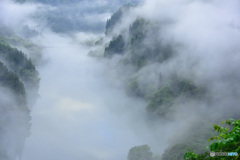 大霧幻峡谷