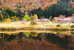 里山秋