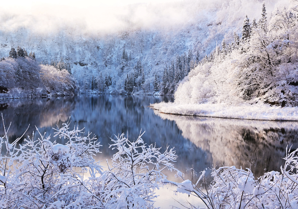 雪色の光白く