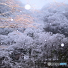 春雪３