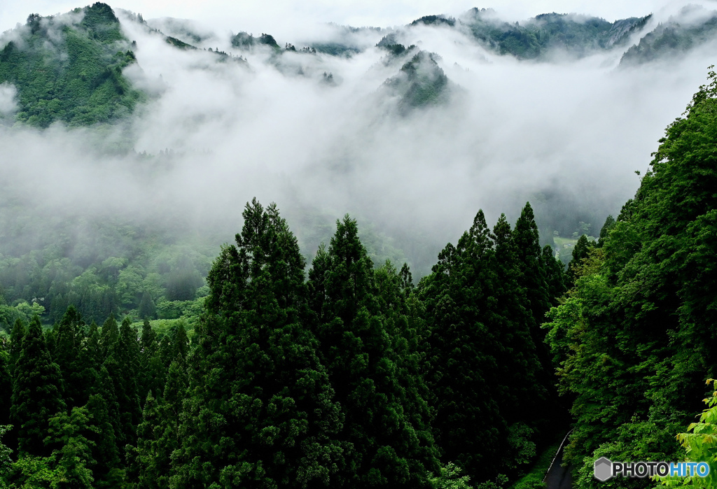 峠からの山霧