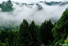 峠からの山霧