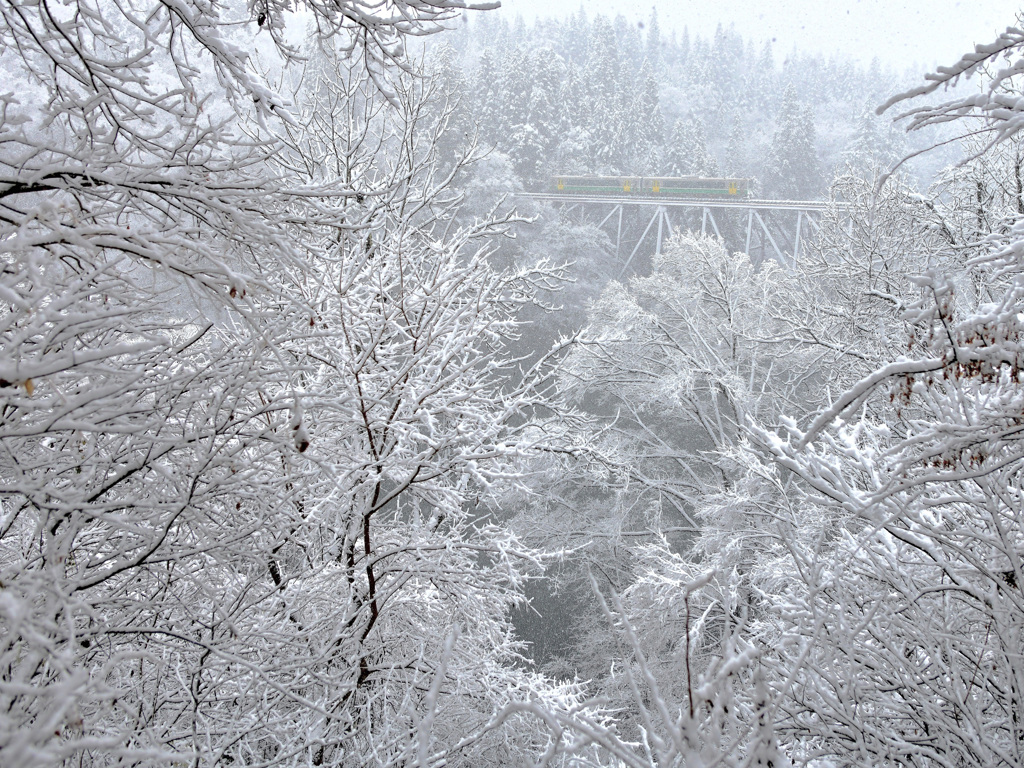 雪霏霏