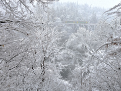 雪霏霏