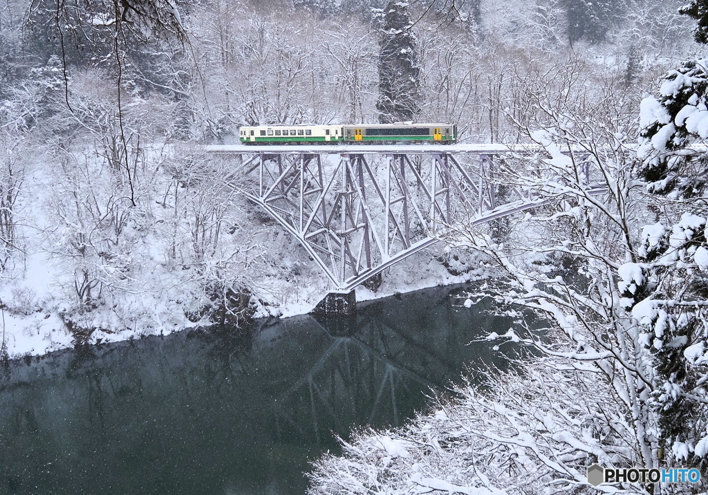 雪樹の森に水の色ふかし