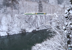 雪樹の森に水の色ふかし