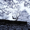 雪の朝２