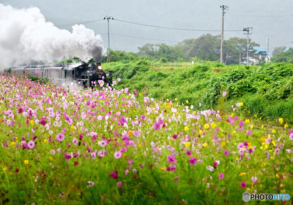 花香り