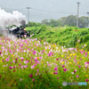 花香り