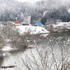 寒水の雪枝