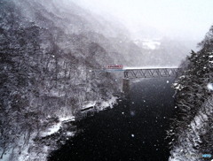 山吹雪霏々と谷深く