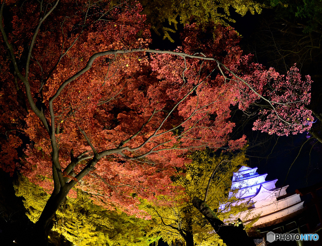 城夜景