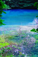 藍の沼
