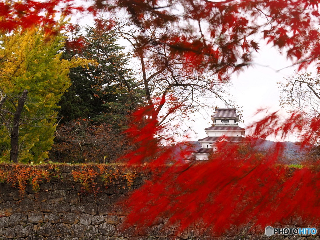 鶴ヶ城・秋彩