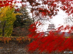 鶴ヶ城・秋彩