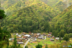 曲屋集落