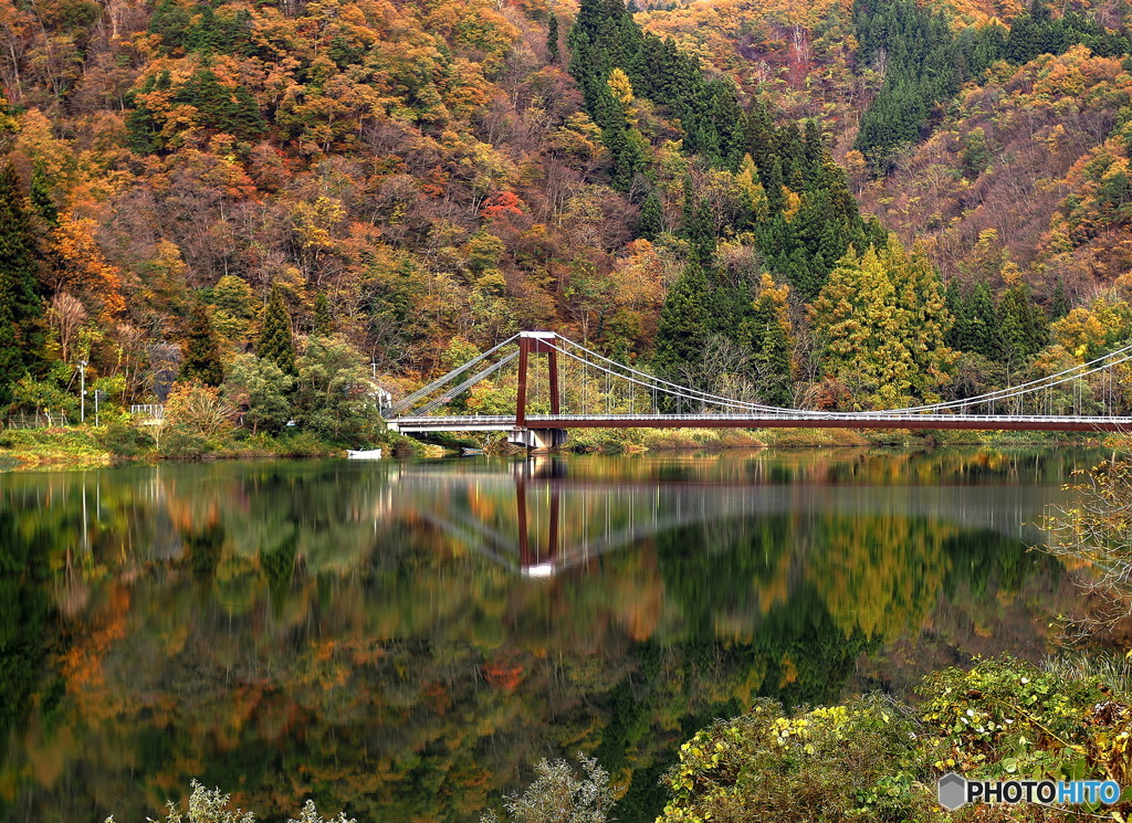 枯紅葉のつり橋