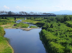 夏の川