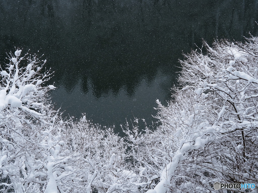 雪枝を華と見て