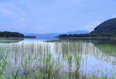 炎昼