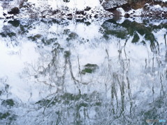 凍木を映して川の流れゐる