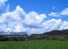 夏雲