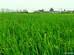 雨模様