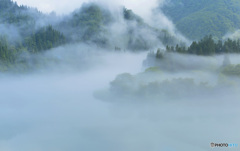 大霧幻