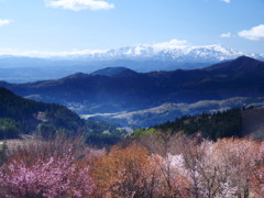 行く春