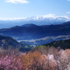行く春
