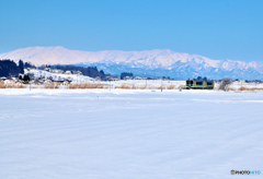 雪原１