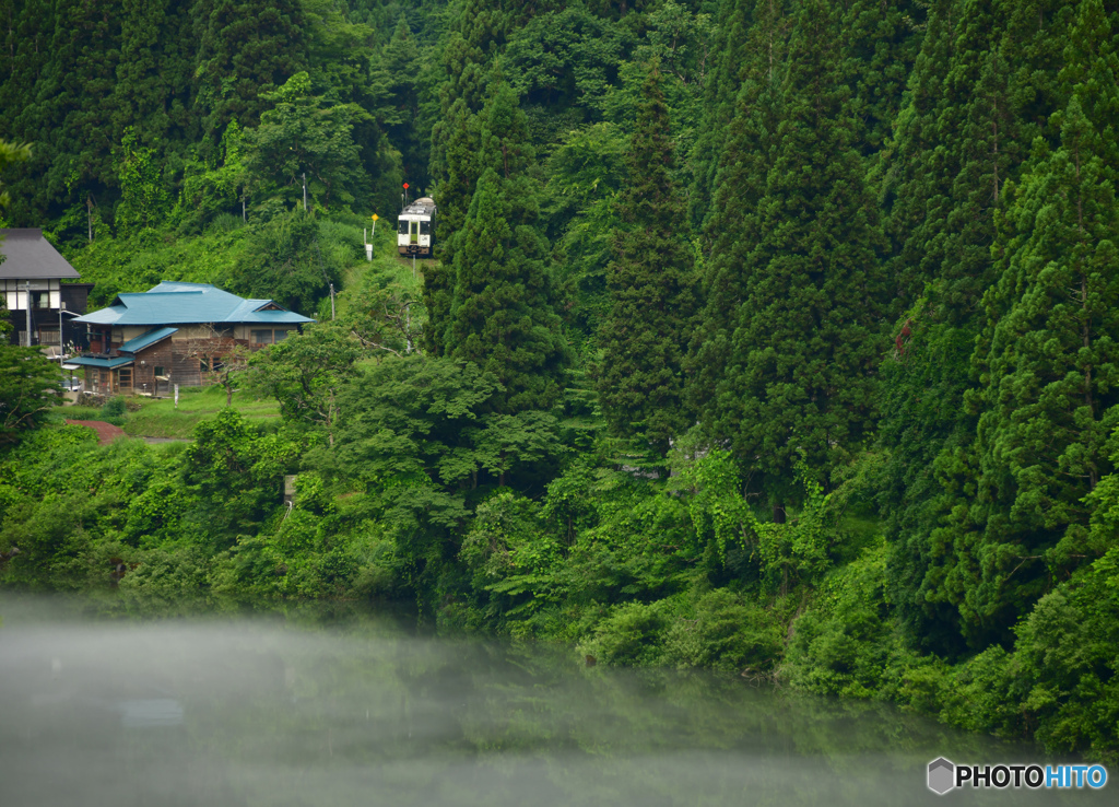 奥山の朝