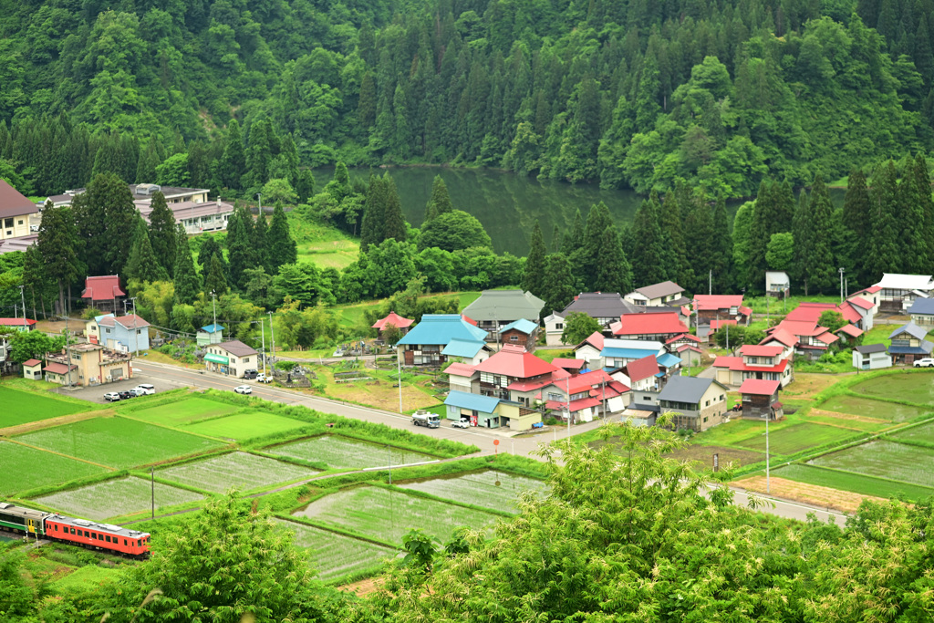 里山２