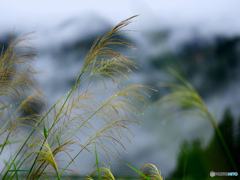 秋気