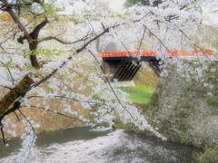 爛漫の春２