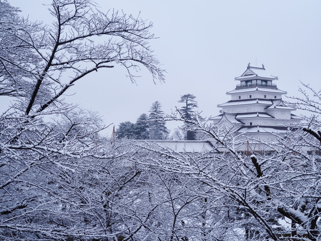 雪の朝