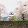 爛漫の春