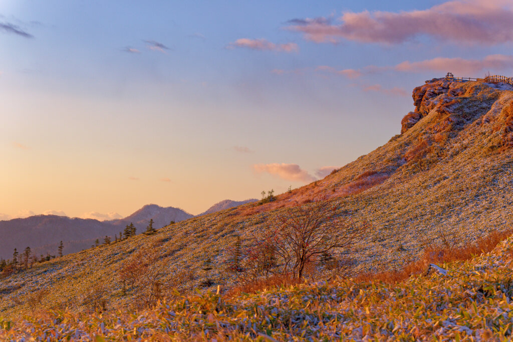 黄金色の朝　XT5