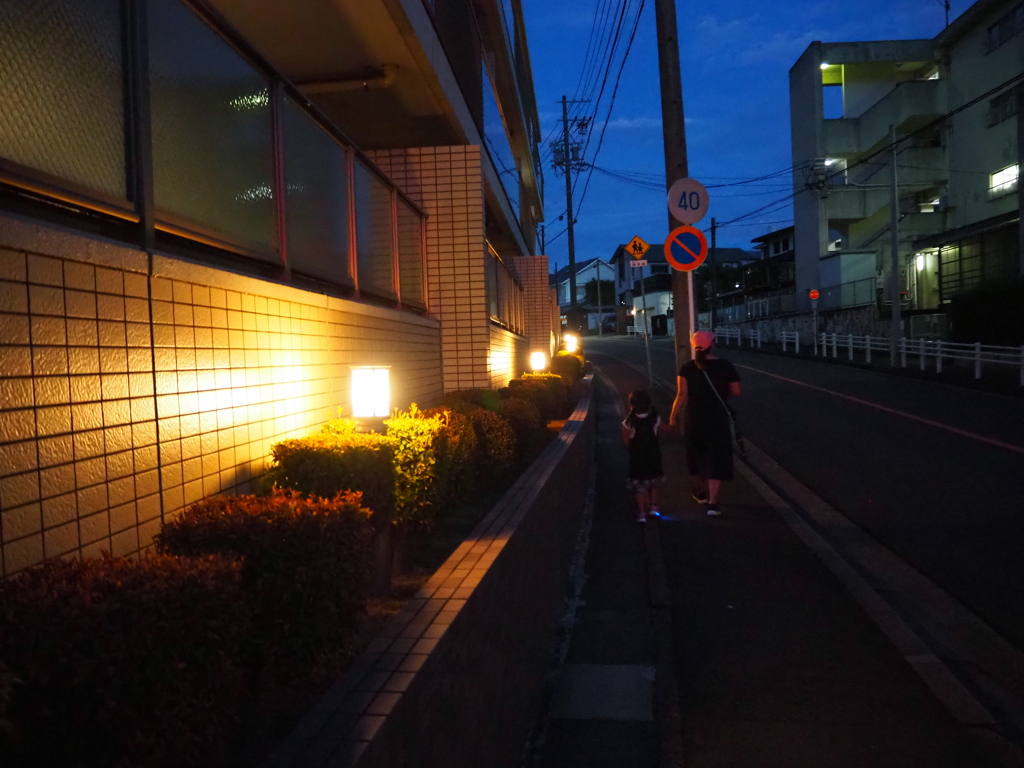 夜景の帰り道