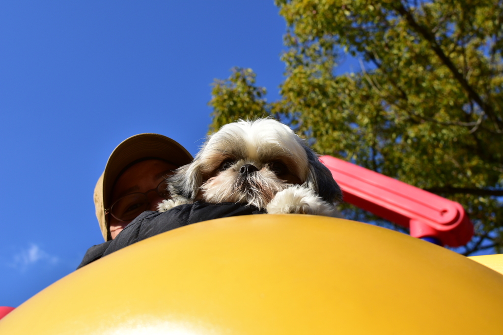 しずくは一歳になりました