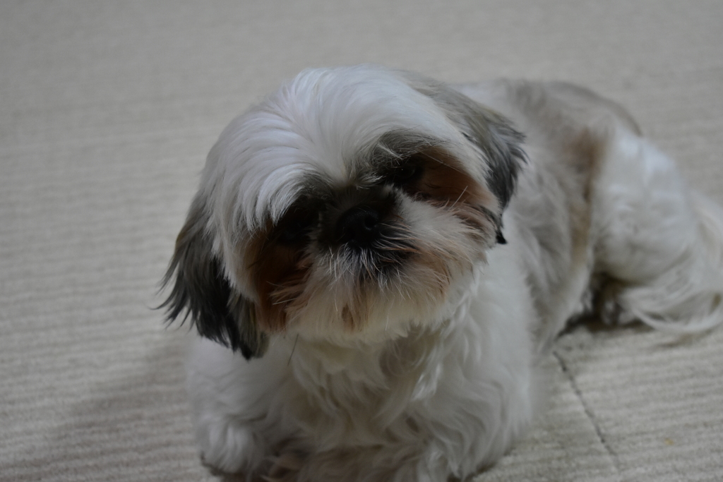 お話を聞いてます