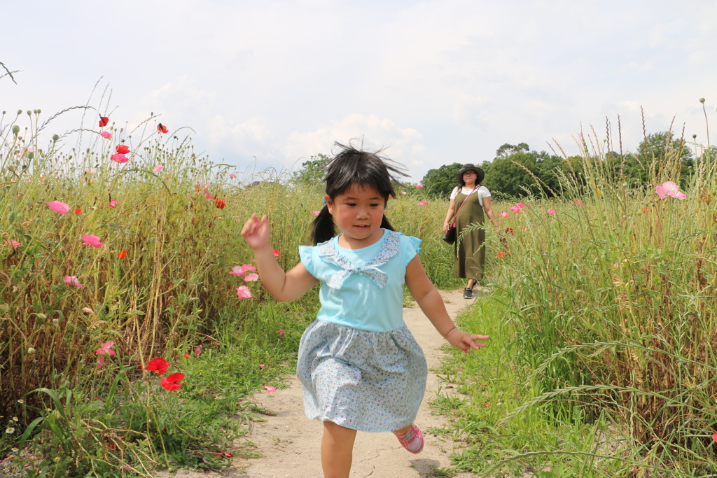 お花畑ではしゃぎまわる娘