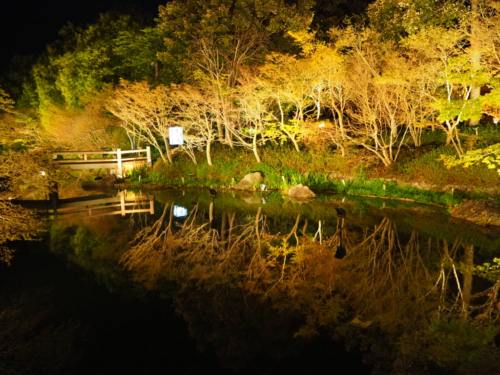 なばなの里の鏡池