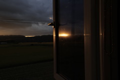 映る夕陽
